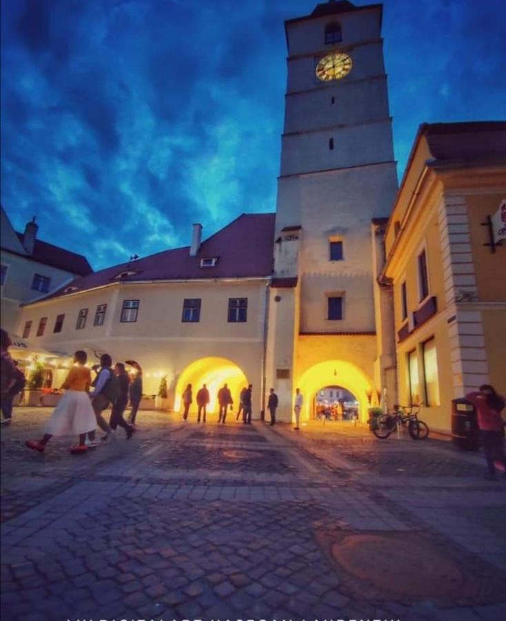 Enjoy Apartment Sibiu Exterior photo